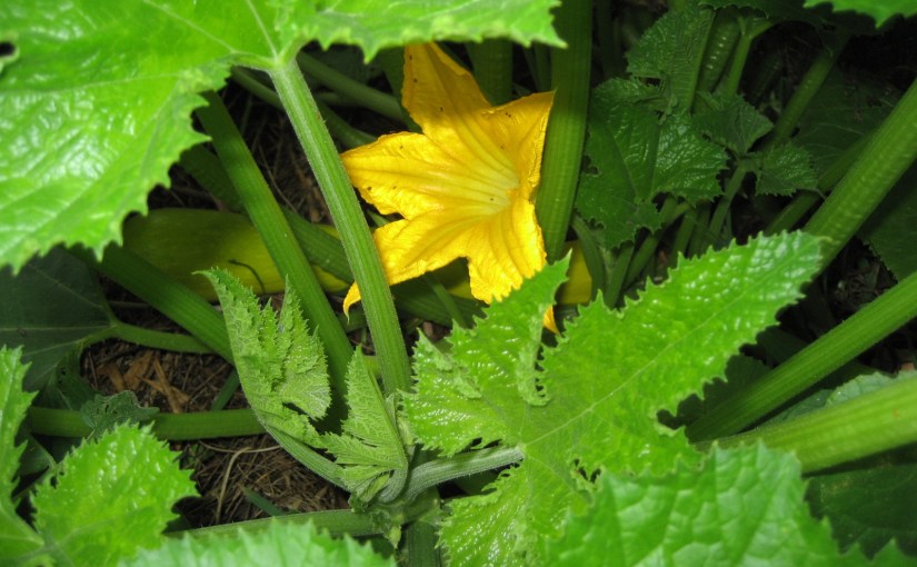 It’s official –&nbsp;FINALLY!